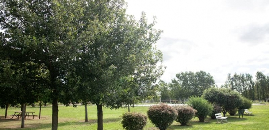 Polideportivo Municipal
