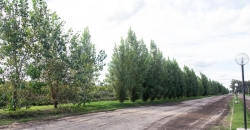 Avenida “Maipú”