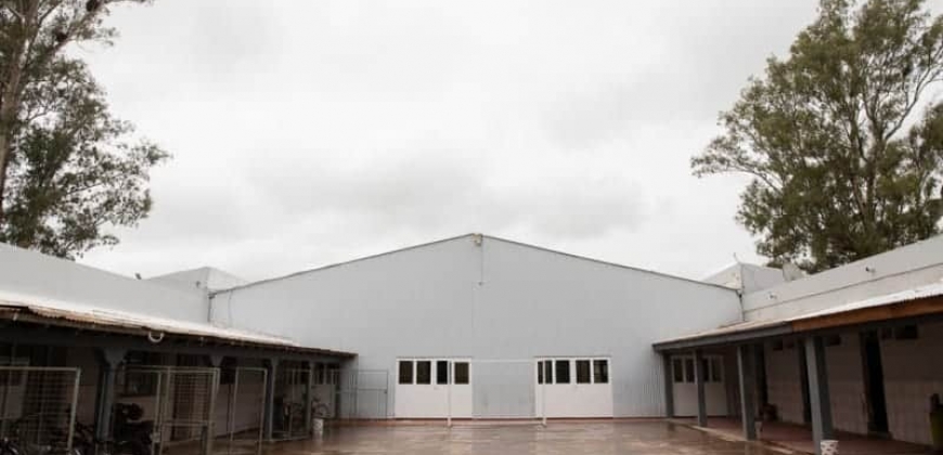 Escuela Primaria “María Teresa Bedoni”