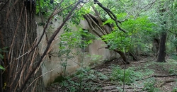 Campo y  Casa Abandonada