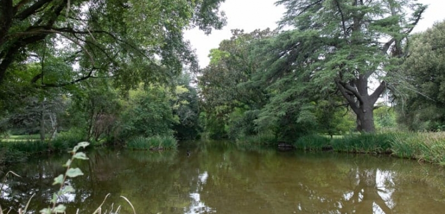 Estancia “La Magdalena”