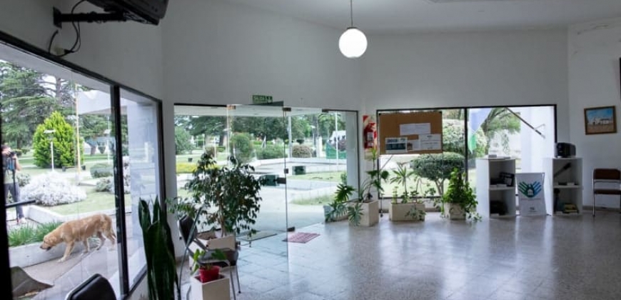 Municipalidad de Carnerillo
