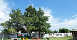 Instituto Técnico “Carnerillo”