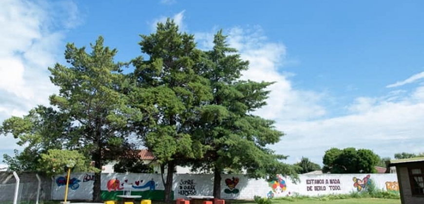 Instituto Técnico “Carnerillo”