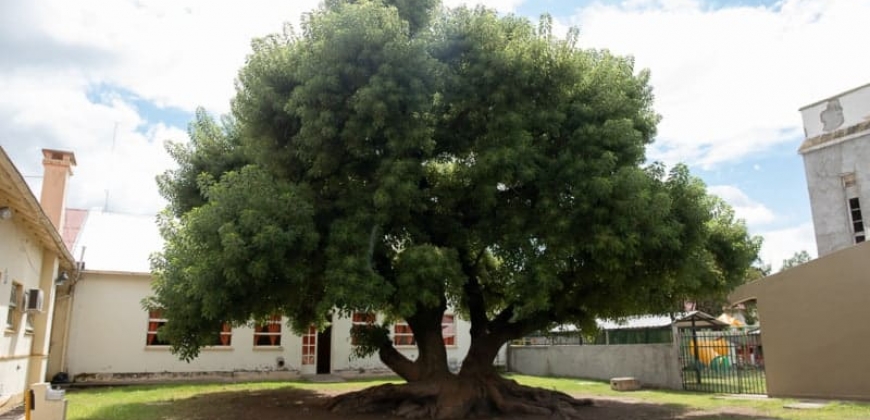 Centro Educativo “San José de Calasanz”