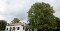Campo “Santa Paula”