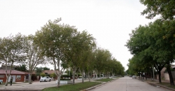Bulevard “San Martín”