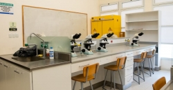 Laboratorios (UNVM)