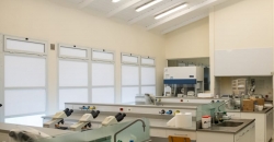Laboratorios (UNVM)