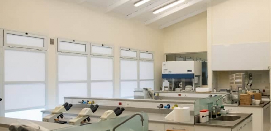 Laboratorios (UNVM)