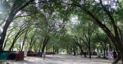 Parque “Hipólito Yrigoyen”