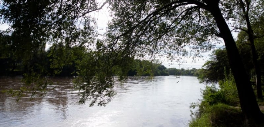 Parque “Hipólito Yrigoyen”