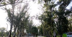 Parque “Hipólito Yrigoyen”