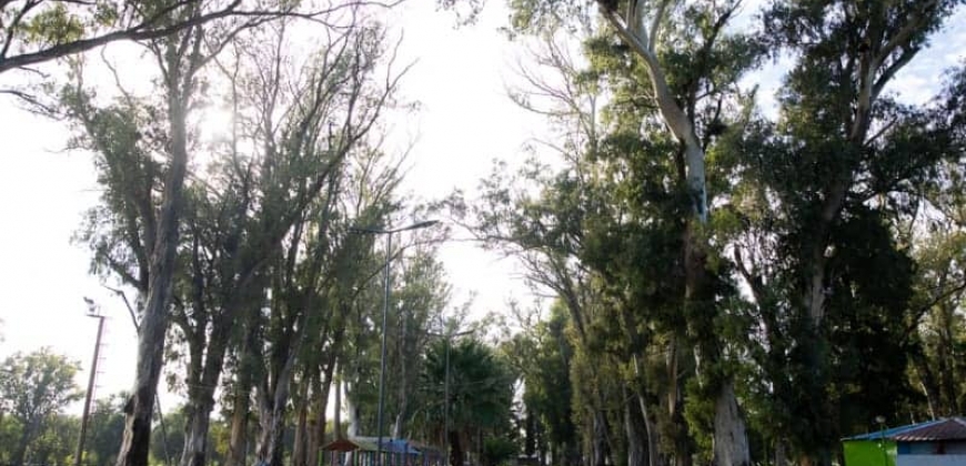Parque “Hipólito Yrigoyen”