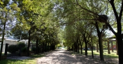 Barrio “Villa Oeste”