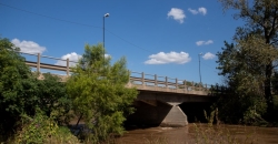 Puente Andino
