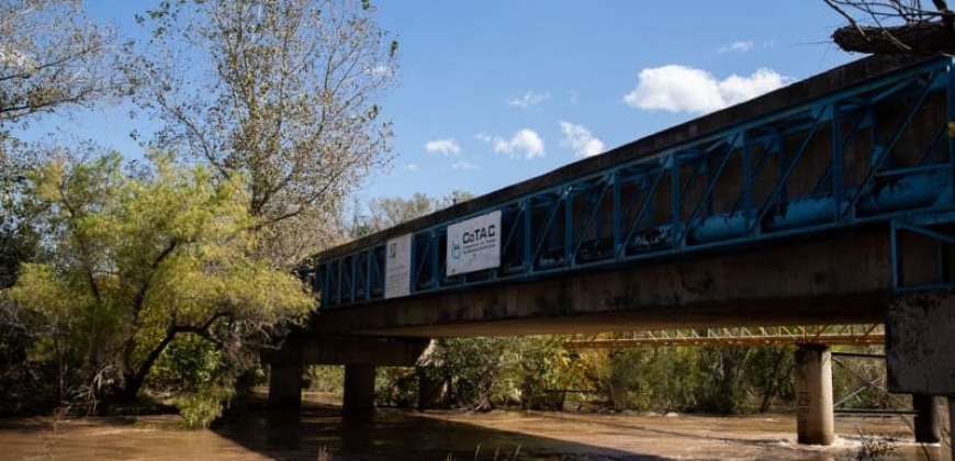 Puente Andino