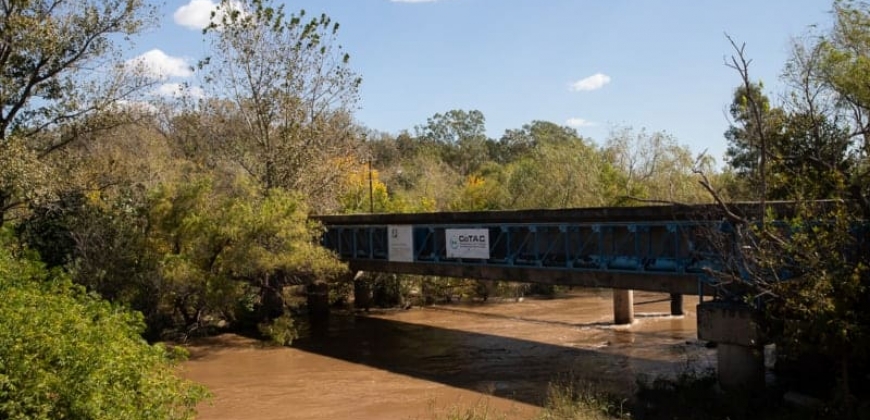 Puente Andino