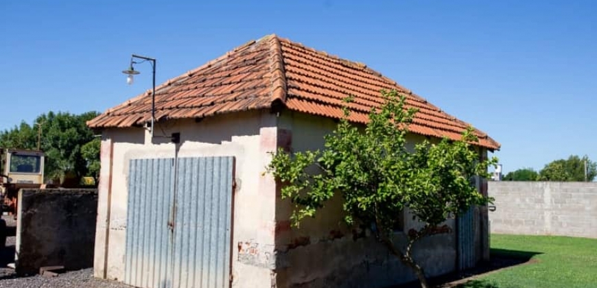 Casa de Familia  “Rina”