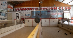 Viamonte Bochin Club