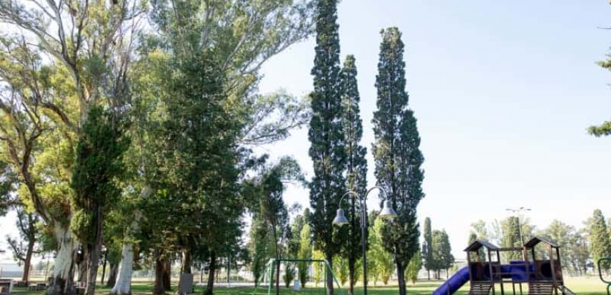 Parque “El Regalo”