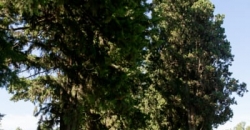 Parque “El Regalo”