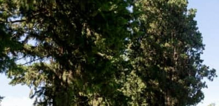 Parque “El Regalo”