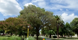 Plaza 9 de Julio