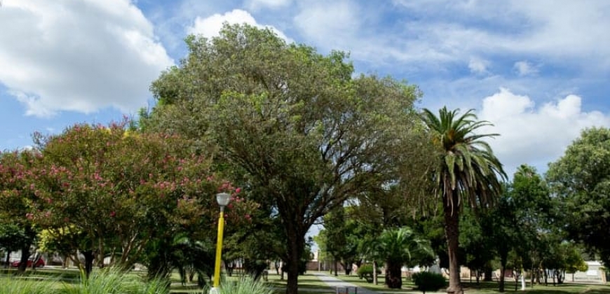 Plaza 9 de Julio