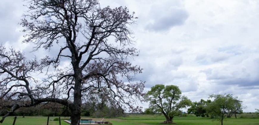 Estancia Familia Noetinger