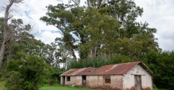 Estancia Familia Noetinger