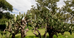 Estancia Familia Noetinger