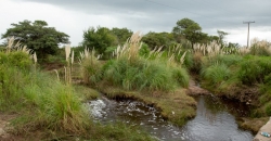 Arroyo