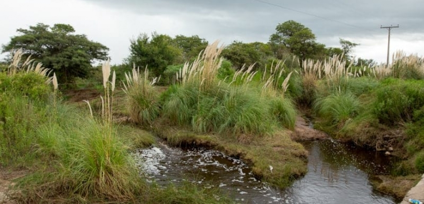 Arroyo