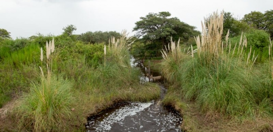 Arroyo