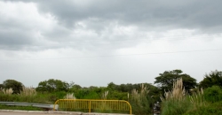 Arroyo