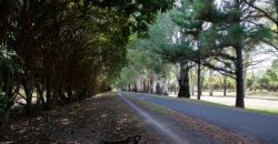 Ciclovía
