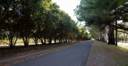 Ciclovía