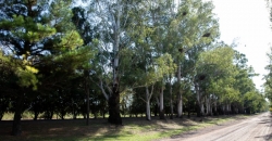 Ciclovía