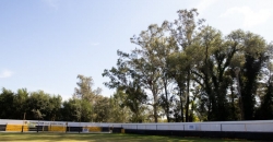 Club Acción Juvenil