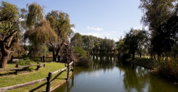 Club Acción Juvenil