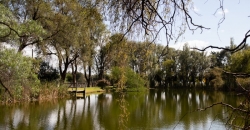 Club Acción Juvenil