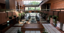 Galería